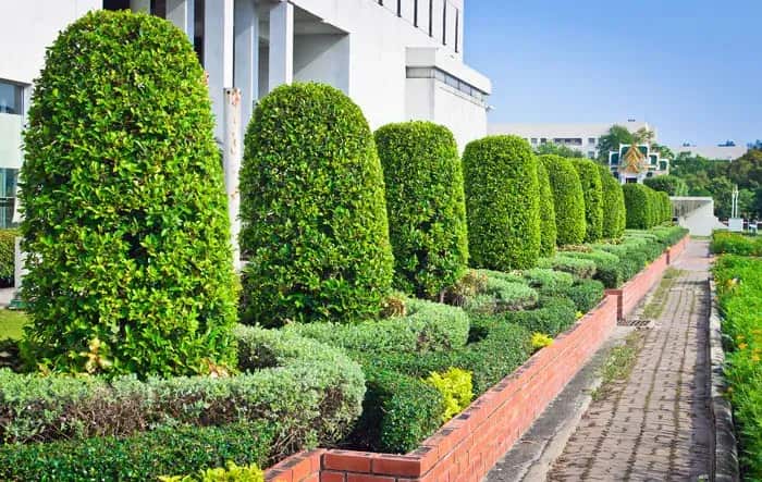 Goldstein Tree Trimming Specialist LLC team — Columbia, SC